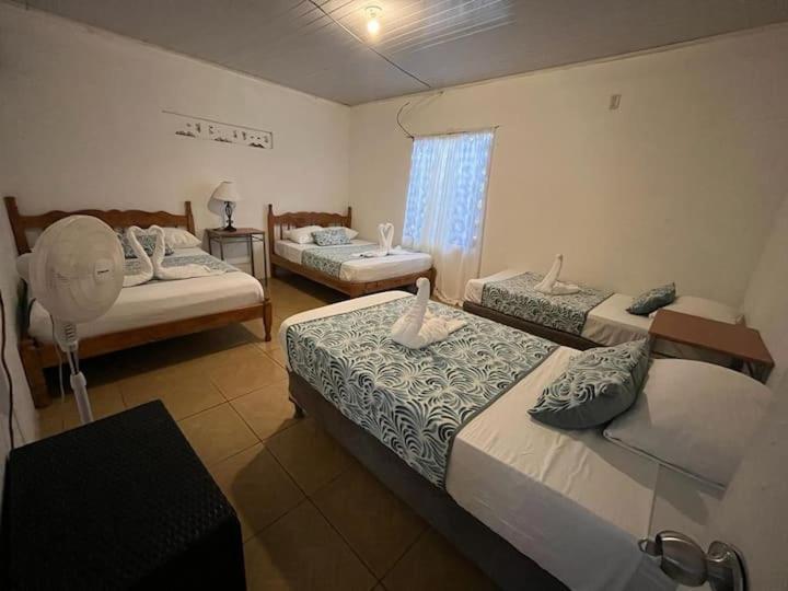 Casa Artavia Villa Tortuguero Kültér fotó
